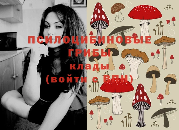 PSILOCYBIN Красноперекопск