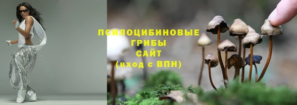прущие крисы Кулебаки