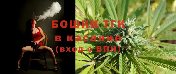 PSILOCYBIN Красноперекопск