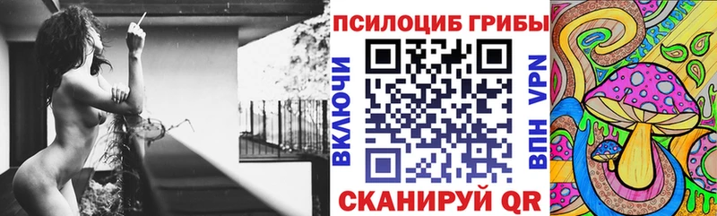 Купить где  Малая Вишера  Псилоцибиновые грибы мухоморы 